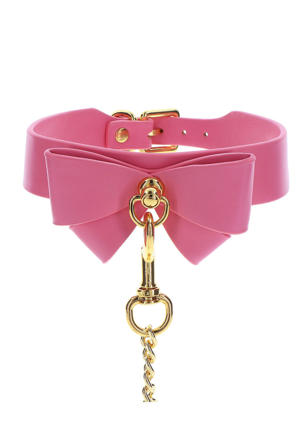 Collare e guinzaglio rosa
